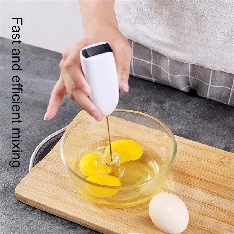 Handheld Whisk (Egg Beater & Milk Frother)
