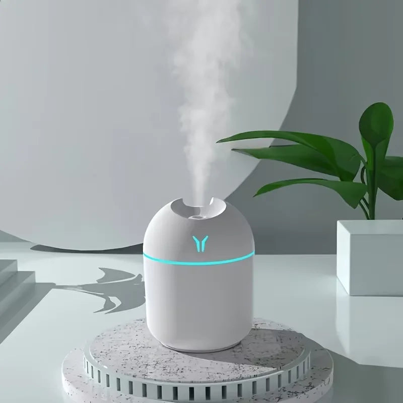 USB Aroma Diffuser/Humidifier
