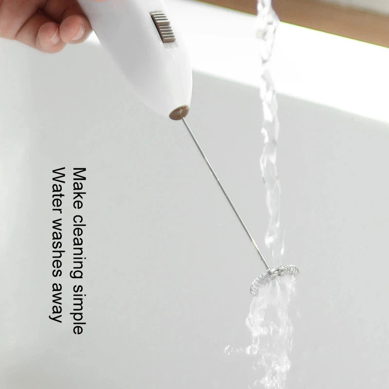 Handheld Whisk (Egg Beater & Milk Frother)